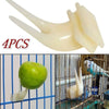 4Pcs Birds Parrots Fruit Fork Pet Supplies Plastic Food Holder Feeding